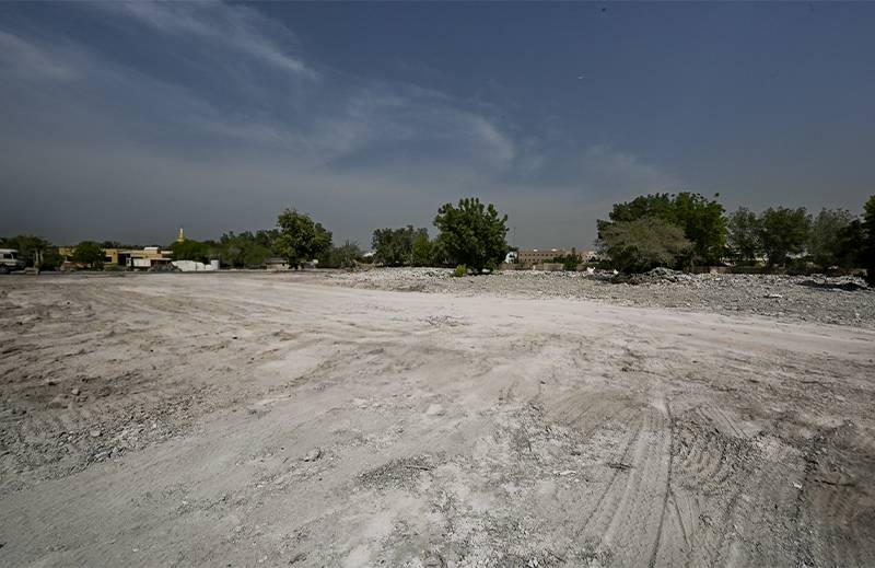 Site Clearance